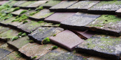 Glascoed roof repair costs